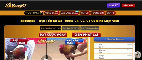 Sabong67 – Sân Chơi Cá Cược Đá Gà Đẳng Cấp, Uy Tín Và .